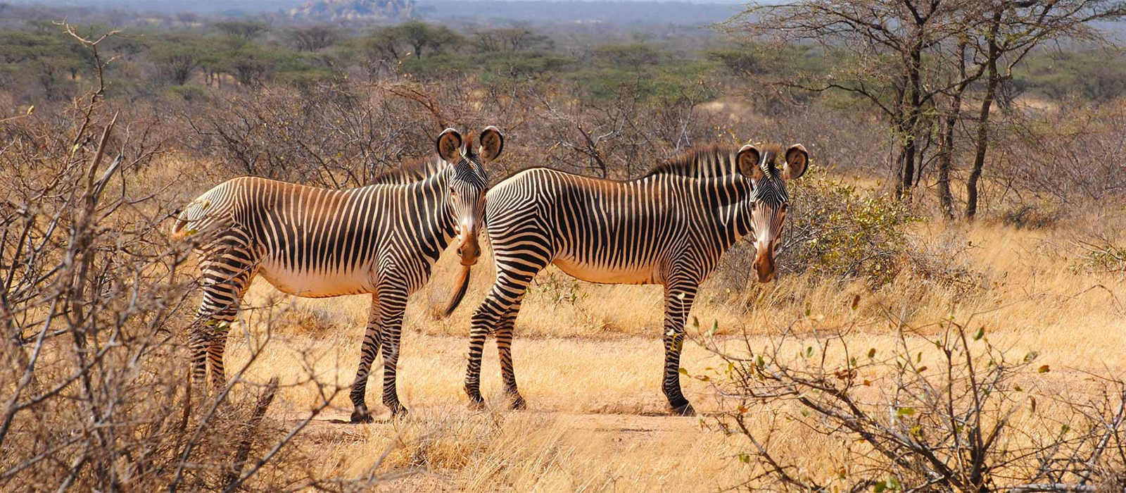 Samburu-National-Reserve