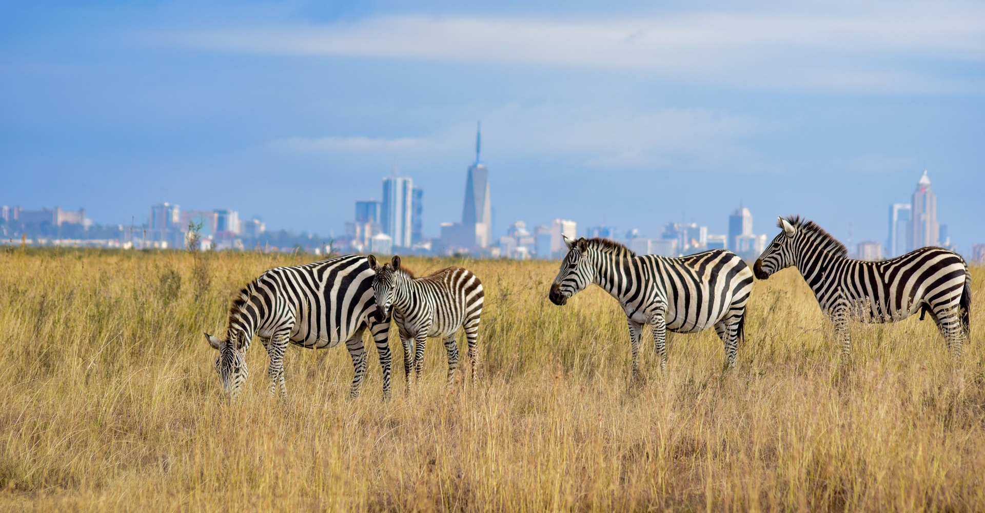 nairobi-national-park